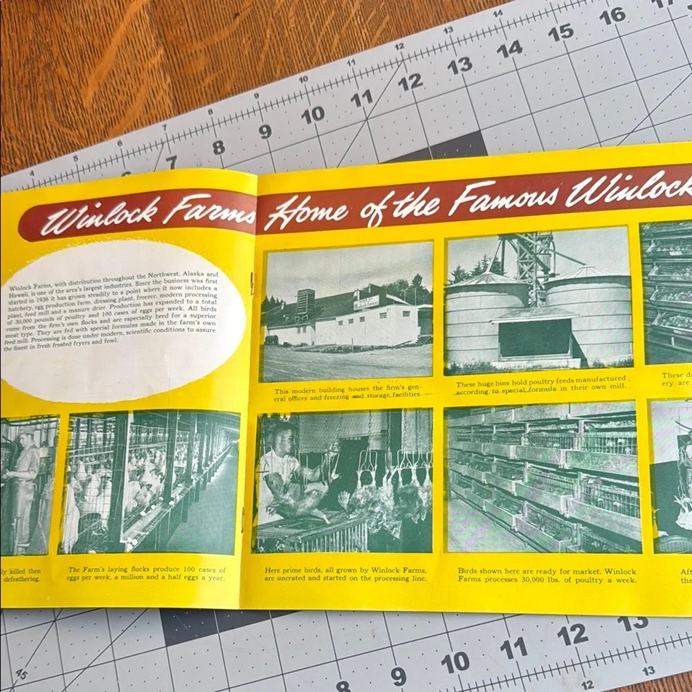 Vintage promotional booklet re Winlock, Washington w focus on poultry/hatchery